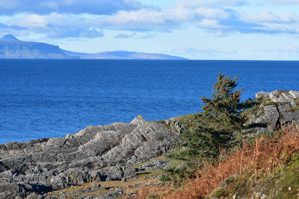 2018-11 Scotland/Glenuig/DSC_7133.JPG